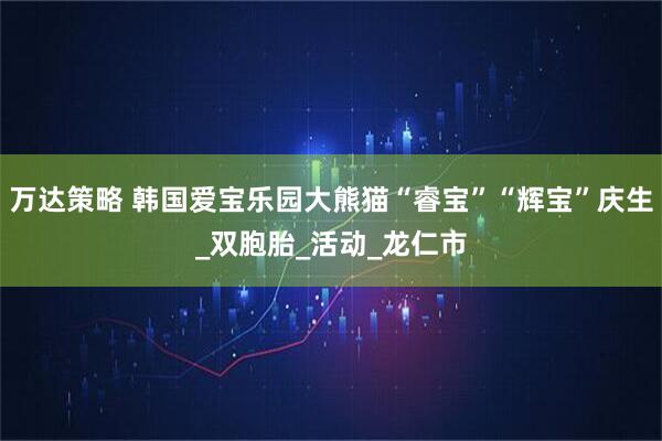 万达策略 韩国爱宝乐园大熊猫“睿宝”“辉宝”庆生_双胞胎_活动_龙仁市