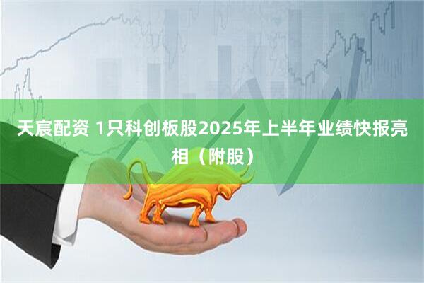 天宸配资 1只科创板股2025年上半年业绩快报亮相（附股）